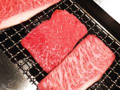 黑毛和牛-俺的焼肉(銀座9丁目店)