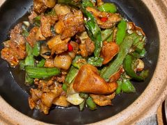 -鸽子窝(青塔店)