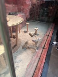 -Zoolung Zoolung动物主题公园(海信广场店)