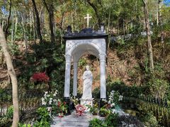 -上海佘山国家森林公园西佘山园