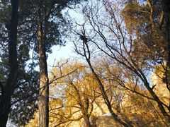 -嵖岈山风景区
