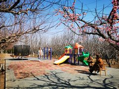 -香木香羊(小汤山店)