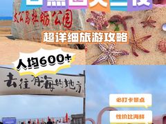 -日照海滨国家森林公园