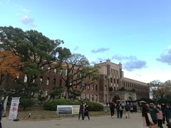 -大阪市立自然史博物馆