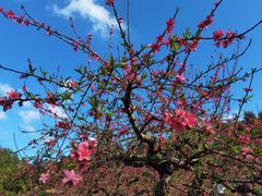 -象头山国家级自然保护区