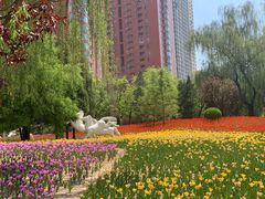 -迎泽公园