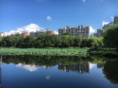 -新江湾城公园