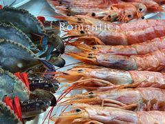 -半岛听涛蒸汽海鲜自助(K11店)