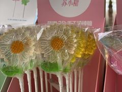 -苏小糖(鼓浪屿三丘田花园店)