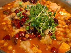 红颜馋嘴牛蛙锅-蜜桃花开·中西融合菜E&W(南长街店)