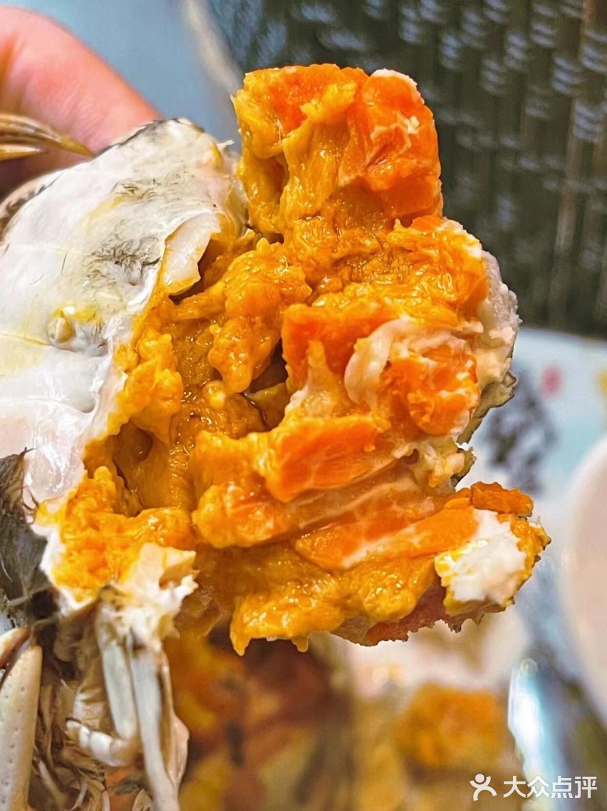 大闸蟹vs梭子蟹