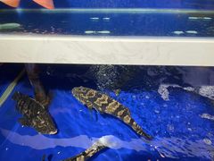 -泰河谷·豆捞