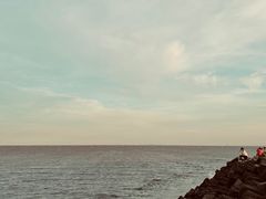 -南汇嘴观海公园