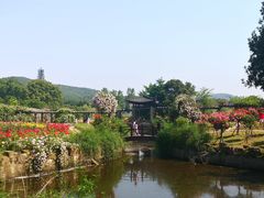 -龙寺生态园