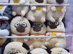 -天天玩X秋葉原日系动漫游戏中心