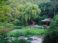 -鬼笑石后山停车场
