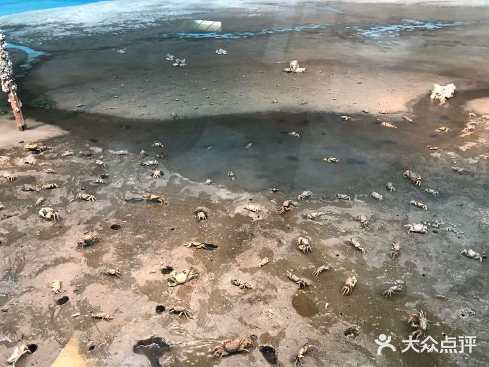 大阪市立自然史博物馆图片