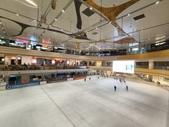-冠军冰场CHAMPION RINK(苏州中心商场店)