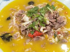 -邵年鸽(杨庄店)