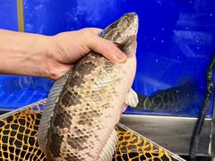 -太二酸菜鱼(银川阅彩城店)