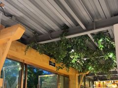 -金塔傣乡·云南民族特色菜·傣味手抓饭(金瓦路店)