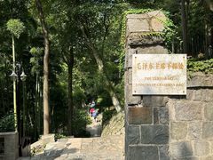 -莫干山风景区