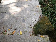 -火炉山森林公园