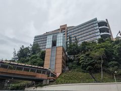 -香港大学
