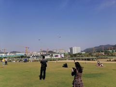 -光明小镇欢乐田园