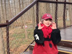 -黄海国家森林公园