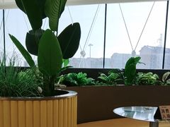 -满记甜品(北京东坝万达店)