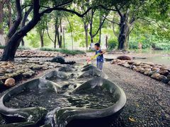 -成都市活水公园