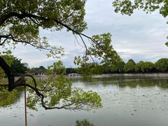 -建水文庙