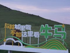 -大姆山草场