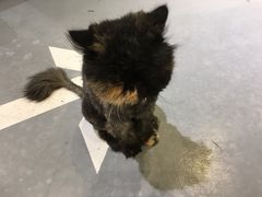 -小时光咖啡馆(开森度假森林店)