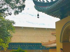 -普陀山风景名胜区-法雨禅寺