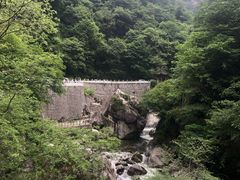 -陕西省红河谷森林公园
