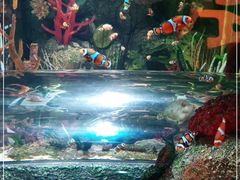 -沈阳海洋探索中心