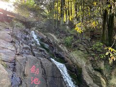 -莫干山风景区