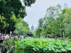-拙政园