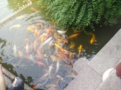 -檀园