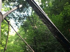 -藏龙百瀑风景区