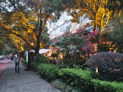 -T館·花园艺术餐厅
