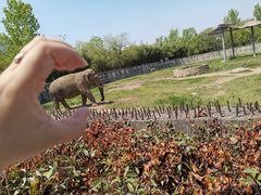 -西安秦岭野生动物园