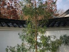 -日月湾海门游览区