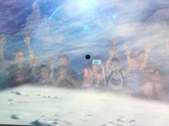 -暹罗海洋世界