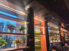-AK47烤羊腿串吧(柳浪家园店)