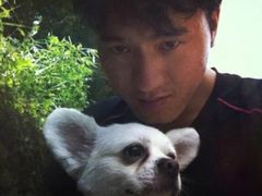 -楠溪江风景名胜区