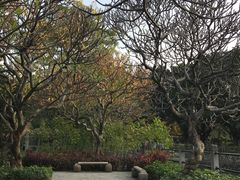 -晓港公园