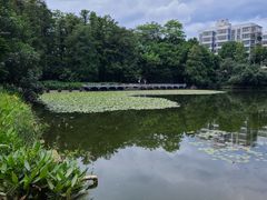 -荔枝公园(福田区)